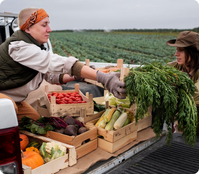 A worker loading boxes of produce onto a truck